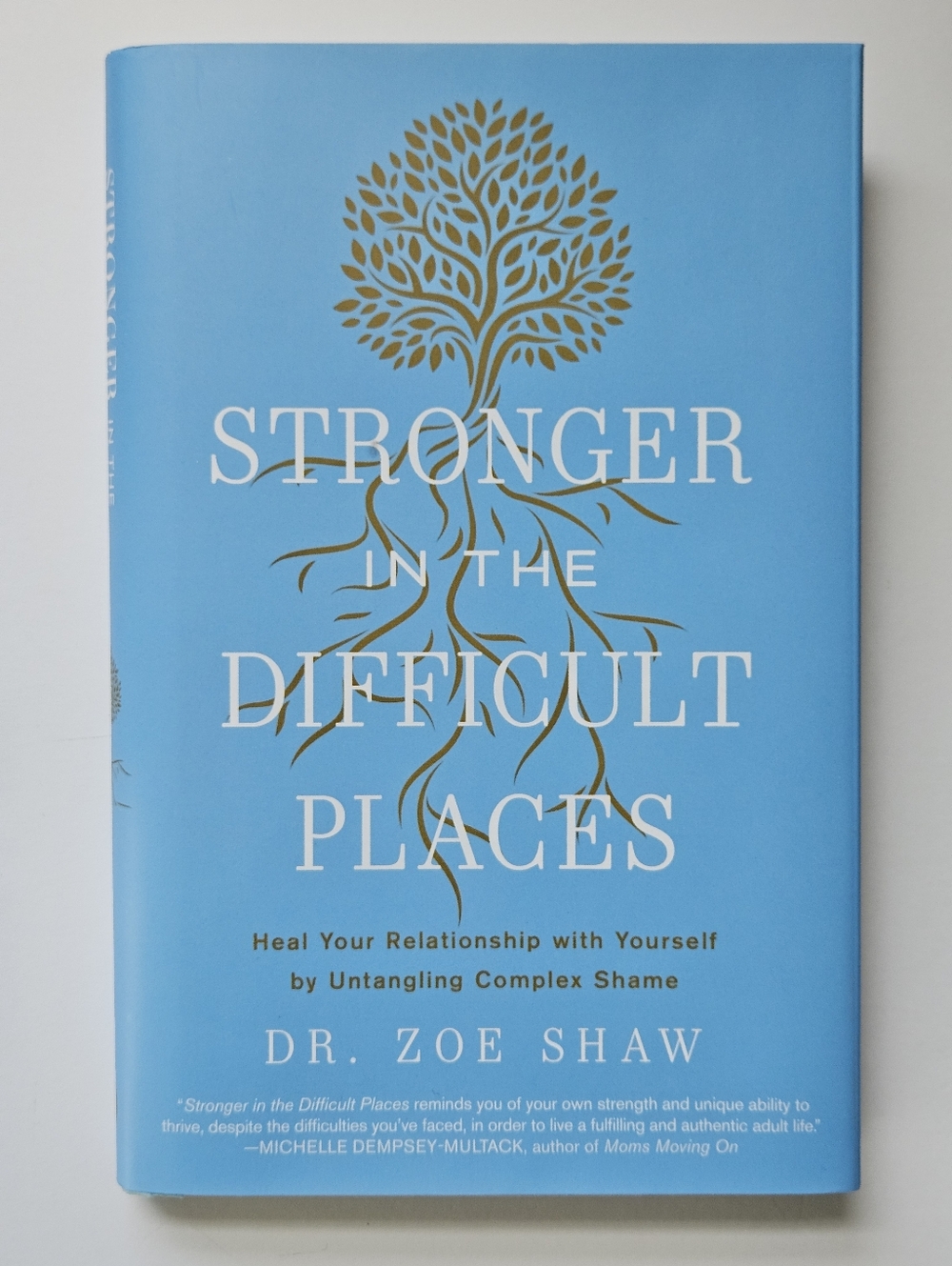 Stronger in the Difficult Places : Heal Your Relationship with Yourself Zoe Shaw